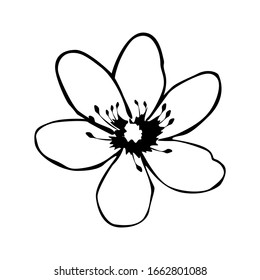 Vector Design of Flower in Black and White