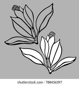 Vector design with flowers Polygala. 
In black and white style.
Can be used for printing on paper, stickers, badges, bijouterie, tattoo.