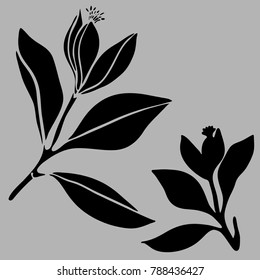 Vector design with flowers Polygala. 
In black and white style.
Can be used for printing on paper, stickers, badges, bijouterie, tattoo.