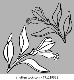 Vector design with flowers Polygala. 
In black and white style.
Can be used for printing on paper, stickers, badges, bijouterie, tattoo.