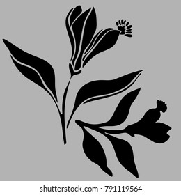 Vector design with flowers Polygala. 
In black and white style.
Can be used for printing on paper, stickers, badges, bijouterie, tattoo.