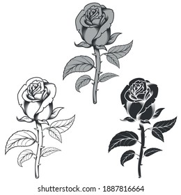 Vector design of flowers in three different styles, black and white, all on white background