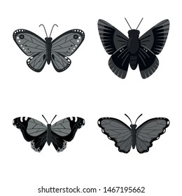 Vector design of fly and insect icon. Collection of fly and botanic stock symbol for web.