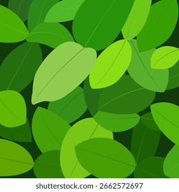 Vector design of foliage background with fresh green color.