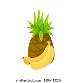 Vector design of food and drink symbol. Collection of food and store stock vector illustration.
