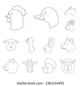 Vector design of food and homemade symbol. Collection of food and homestead stock vector illustration.