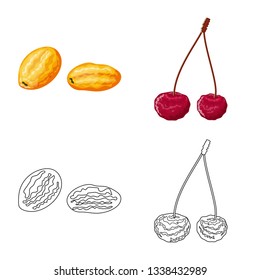 Vector design of food  and raw  icon. Collection of food  and nature   vector icon for stock.