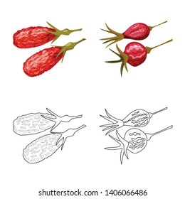 Vector design of food  and raw  icon. Collection of food  and nature   vector icon for stock.
