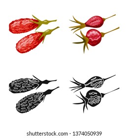 Vector design of food  and raw  logo. Collection of food  and nature   vector icon for stock.