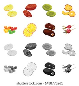 Vector design of food and raw logo. Collection of food and nature vector icon for stock.