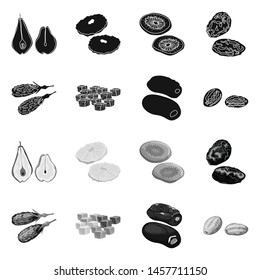 Vector design of food and raw logo. Collection of food and nature stock vector illustration.