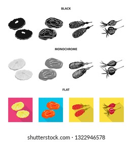 Vector design of food  and raw  symbol. Collection of food  and nature   vector icon for stock.