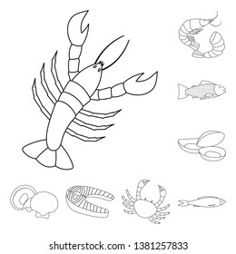 Vector design of food and sea sign. Set of food and healthy stock vector illustration.