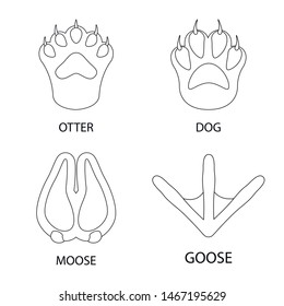 Vector design of foot and footprint sign. Set of foot and trace vector icon for stock.