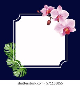 Vector design frame
