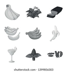 Vector design of fresh and diet logo. Collection of fresh and vegetarian stock vector illustration.