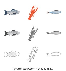 Vector design of fresh and restaurant icon. Collection of fresh and marine vector icon for stock.