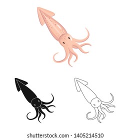 Vector design of fresh  and restaurant logo. Collection of fresh  and marine   stock vector illustration.