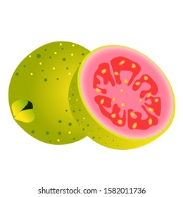vector design of fresh, ripe guava fruit