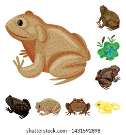 Vector design of frog and anuran icon. Set of frog and animal stock vector illustration.