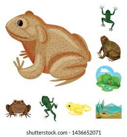 Vector design of frog and anuran icon. Set of frog and animal stock vector illustration.
