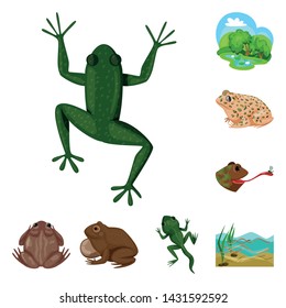 Vector design of frog and anuran logo. Collection of frog and animal vector icon for stock.