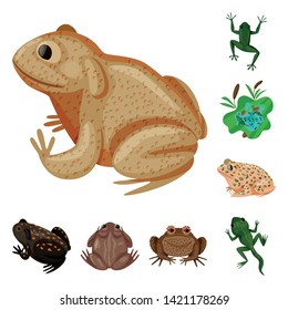 Vector design of frog and anuran symbol. Collection of frog and animal stock vector illustration.