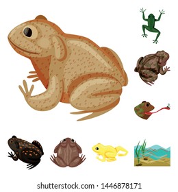 Vector design of frog and anuran symbol. Set of frog and animal stock vector illustration.