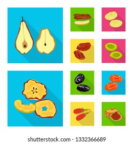 Vector design of fruit and dried  icon. Collection of fruit and food  vector icon for stock.