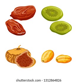 Vector design of fruit and dried  sign. Set of fruit and food  stock symbol for web.
