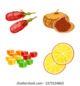 Vector design of fruit and dried  sign. Set of fruit and food  vector icon for stock.