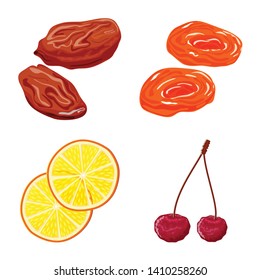 Vector design of fruit and dried  sign. Collection of fruit and food  vector icon for stock.