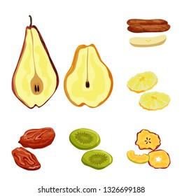 Vector design of fruit and dried  symbol. Set of fruit and food  vector icon for stock.