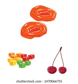 Vector design of fruit and dried symbol. Collection of fruit and food stock symbol for web.