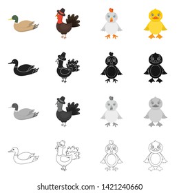 Vector design of funny and poultry icon. Set of funny and farming stock symbol for web.
