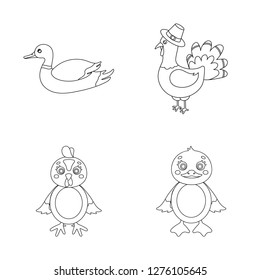 Vector design of funny and poultry logo. Set of funny and farming stock symbol for web.