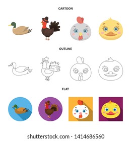 Vector design of funny and poultry logo. Collection of funny and farming vector icon for stock.