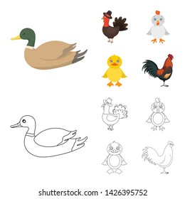 Vector design of funny and poultry logo. Collection of funny and farming stock symbol for web.