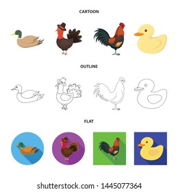 Vector design of funny and poultry logo. Collection of funny and farming stock symbol for web.