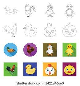 Vector design of funny and poultry sign. Collection of funny and farming vector icon for stock.