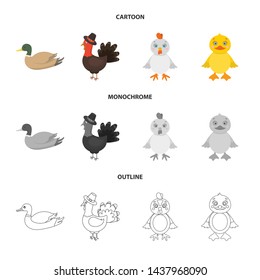 Vector design of funny and poultry sign. Set of funny and farming stock symbol for web.