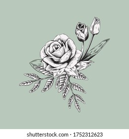 Vector design garden flower designer element set
