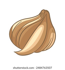 Vector Design of Garlic Cloves Spice Food Vegetable