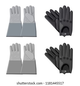 Vector design of glove and winter icon. Collection of glove and equipment stock symbol for web.