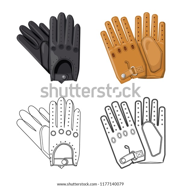 Vector design of glove and winter\
icon. Collection of glove and equipment vector icon for\
stock.