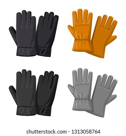Vector design of glove and winter symbol. Collection of glove and equipment stock symbol for web.