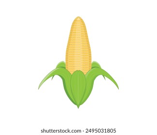 Diseño de Vector de un maíz amarillo anaranjado dorado que está medio abierto con la piel de la hoja en la parte inferior