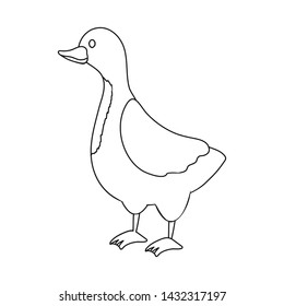 Vector design of goose and pet symbol. Collection of goose and Canada vector icon for stock.