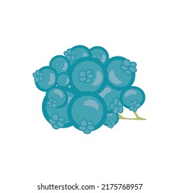 Vector design of a grapefruit emoji. Agricultural products illustration