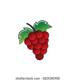 Vector design of grapes, simple and attractive. simple and elegant suitable for your business.
